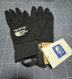 日本では完売‼️TNF × Aime Leon Dore グローブ M