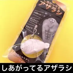 さらにしあがってるシャチ　アザラシ　キーホルダー　須磨シーワールド　岩本照