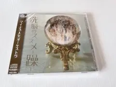 マイナス人生オーケストラ　CD10枚セット マイナス人生オーケストラ CD10枚セット