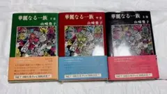 華麗なる一族 全3巻 山崎豊子