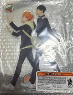 日向翔陽 影山飛雄 Bigスタンド ハイキュー!! ちょこっとくじ A賞
