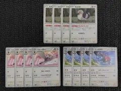 マメパト ハトーボー ケンホロウ