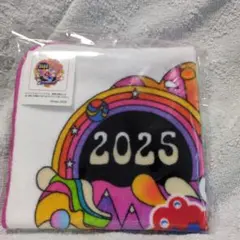 Item thumbnail for item 89362ca5-316b-4e07-afdf-c2210543b63a