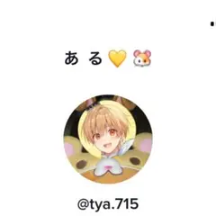 ある様専用ページ