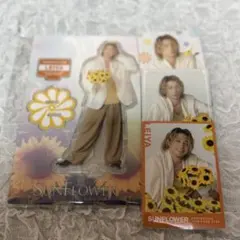 瀬口黎弥　アクリルスタンド　フォトカード　シークレット