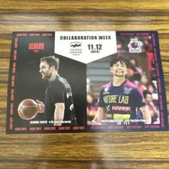 collaboration week 11.12 ポストカード　アルバルク東京
