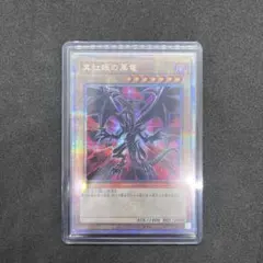 2026年最新】真紅眼の黒竜 スリーブの人気アイテム - メルカリ