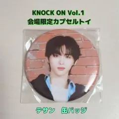 KNOCK ON ツアー限定ガチャ　テサン　缶バッジ