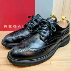 【美品】REGAL 59DR ウィングチップ 外羽根 GORE-TEX 25cm