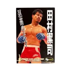 2025年最新】田村潔司￼の人気アイテム - メルカリ
