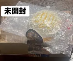 BloomingJapan スクイーズ マンゴー アイスクリームボウル 未開封