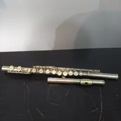 2025年最新】nikkan FL-23の人気アイテム - メルカリ