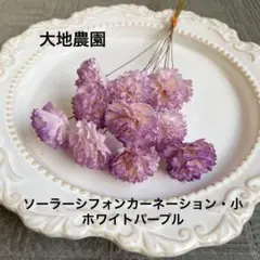 済　ゆうこりん様　ご専用