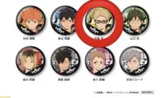 月島蛍【ビッくらポン！】