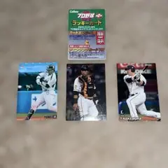 2015 プロ野球チップス ラッキーカード 3枚セット