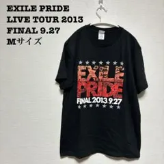 Item thumbnail for item e6b76c5c-acc8-49d9-908a-6b8477da6eee