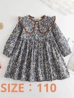 Item thumbnail for item 3a7b6a21-e99c-453c-8d14-96416c3c42b1