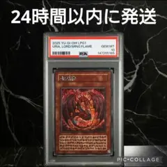 2026年最新】ウリア psa10の人気アイテム - メルカリ