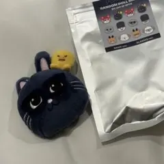 RIIZE ペンミ MD ランダムドールバッジ ウォンビン