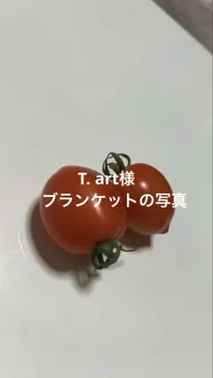 T. art様