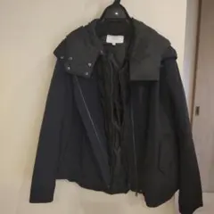 Item thumbnail for item 02e38f36-3eb2-4418-84b0-8044302851eb