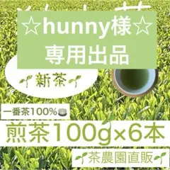 専用⑥】新茶☆上煎茶x2本(令8年産)一番茶☆深蒸し緑茶☆日本茶☆お茶