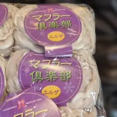 Item thumbnail for item 4b73ae19-010c-4633-9ad3-cbaadce5c798