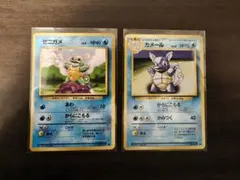 旧裏　ゼニガメ カメール