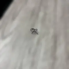 Item thumbnail for item 8e141f3a-cb10-4f0b-a627-752e104fdf81