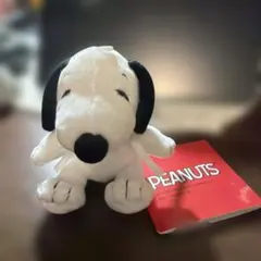 スヌーピー ぬいぐるみ PEANUTSのサムネイル