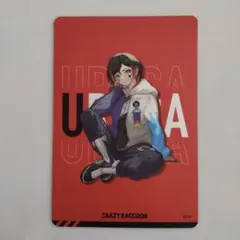 CRAZY RACCOON CRチップス ステッカー うるか ファミリーマート