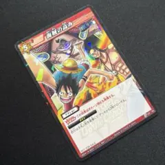 【非売品プロモ】海賊の高み OP06(P)のサムネイル