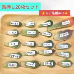 美香様 リクエスト 2点 まとめ商品