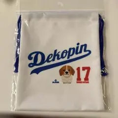 Item thumbnail for item 9c69f68b-7866-42fe-970f-ce1d3fc0dd95