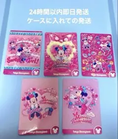 ミニーパルパルーザ　コレクションカード