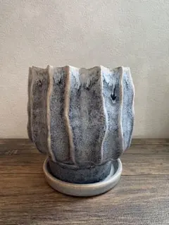 植木鉢 陶器 受け皿付き なみなみ 小
