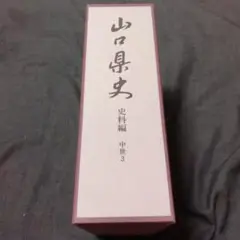 山口県史　史料編中世3 平成16年