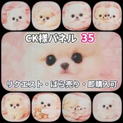 生地 パネル ポメラニアン 12枚 | Mercari
