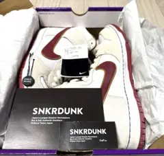 dunk sb 28.5