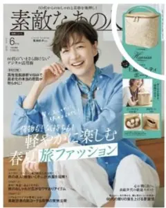素敵なあの人雑誌付録♡Harrissレースつき上品バニティポーチ♡のサムネイル