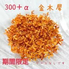 ドライフラワー