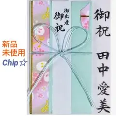 《木下水引　一般お祝い　ミントグリーン》御祝儀袋　御祝い袋　祝儀袋　金封　のし袋