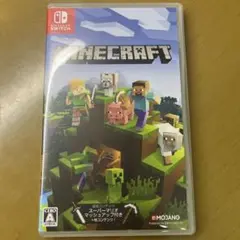 Minecraft Nintendo Switch