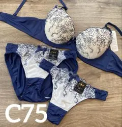 Item thumbnail for item 48240c52-6657-4de8-9243-46c2e89602d9