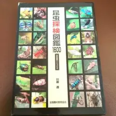 昆虫探検(エクスプローラ)図鑑1600　ポスター付