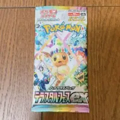 S*T様 テラスタルフェス EX パック　1パック