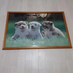 Item thumbnail for item 9c6528df-6229-4b95-875d-056e8c87c595