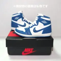 ナイキ エアジョーダン1 ハイ 85 ミニチュアコレクション ストームブルー