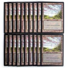 MIR 沼 D絵柄 英語20枚 ミラージュ 基本地形 基本土地