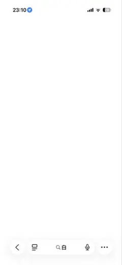 evelynのセットアップですもふもふ様専用